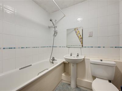 Picture 5